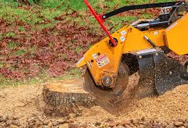 Best Grass Overseeding  in Grandwood Park, IL