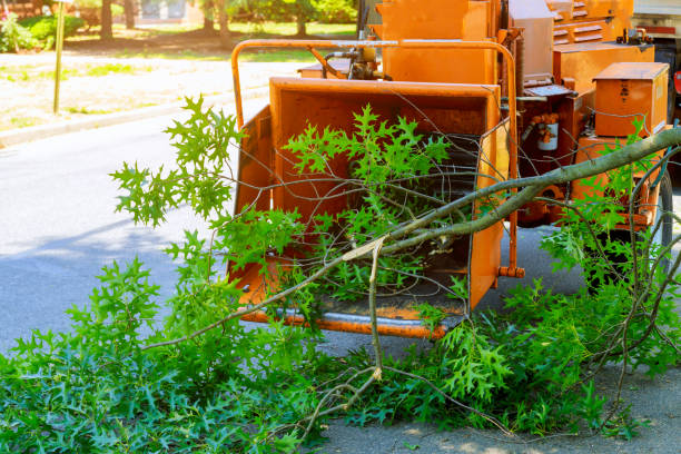 Lawn Watering Services in Grandwood Park, IL